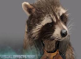 89p13, also known as rocket raccoon is a genetically modified creature. Meet Rocket Raccoon Bradley Cooper S Guardians Of The Galaxy Character Speaks In Featurette The Independent The Independent