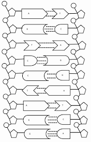 Dna The Double Helix Worksheet Luxury Dna The Double Helix Coloring Worksheet In 2020 Dna Replication Dna Activities Dna Worksheet