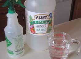What Is The Vinegar To Water Ratio For Cleaning Hunker Vinegar And Water Cleaner Vinegar Cleaning Recipe White Vinegar Cleaning