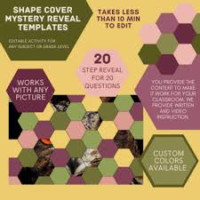 Place ruler along the corner of the of the fold with the 60 degree line along the fold. Hexagon Template Worksheets Teaching Resources Tpt