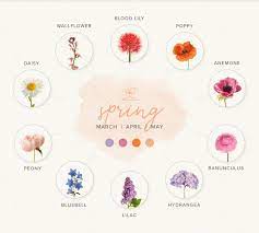 We did not find results for: A Guide To Choosing Seasonal Blooms For Your Wedding Flowers