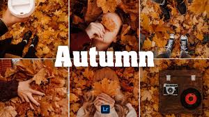 Our mission at contrastly is to help photographers all around the globe improve their craft and learn new skills. Autumn Preset Lightroom Mobile Preset Fall Preset Autumn Filter Autumn Photo Editing Maple Youtube