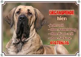 Thinking of getting a fila brasileiro dog and want to know if a fila brasileiro is suitable for your use the fila brasileiro information on this website to learn more about adaptability, health issues, life. Hundeschild Mit Einem Fila Brasileiro Warnschild Organspende Uv Bestandig