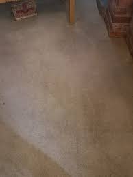 Vax Platinum Power Max Carpet Cleaner Review How Does It Tackle Pet Stains
