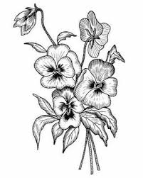 Pensees Fleur A Colorier Dessin Floral Croquis De Fleurs