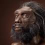 Homo heidelbergensis wikipedia from humanorigins.si.edu