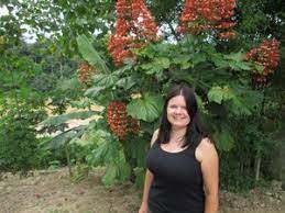 You can enter any city or hotel name. Malaysia Taman Negara National Park Travel Blog