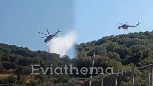 Σύμφωνα με την πυροσβεστική κινητοποιήθηκαν επίγειες και εναέριες δυνάμεις. 3mfbxlsi4bffum