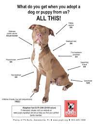 Maybe you would like to learn more about one of these? Adopt Plenty Of Pit Bulls