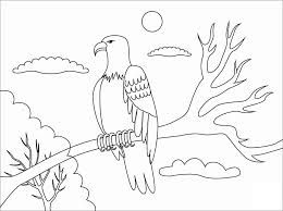 Maybe you would like to learn more about one of these? Us Bald Eagle Coloring Page Free Printable Coloring Pages For Kids