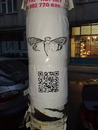 An image in the qr code attracts additional attention and directly shows what the code is about. The Internet S Cicada A Mystery Without An Answer Npr