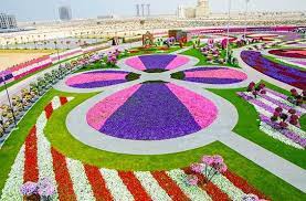 new attraction in dubai the worlds biggest flower garden 32 photos jardin de flores jardines jardin natural