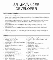 We did not find results for: Entry Level Java Developer Resume Example Livecareer