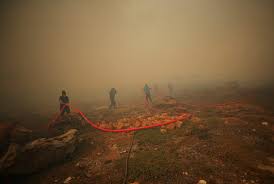 Image result for tbn:XVFRz-6Maj2JLM::www.jolmag.co.za/wildfire/images/Logos/vuvuzela_header.jpg