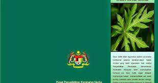 Daun jagung dengan kualiti baik biasanya memiliki daun yang berwarna kehijauan, segar dan tidak kering manakala warna batang tinggalkan sedikit kulit yang muda untuk melindungi isi jagung tersebut. Catatan Dari Hati Rozafrina Abdul Rahman Cara Menyediakan Jus Daun Betik Untuk Merawat Denggi