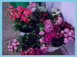 Hours may change under current circumstances T1olnqbxdttaqm