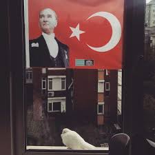 29 Ekim Cumhuriyet Bayrami 93 Yildonumunu 29 10 2016 Pencereye Konan Beyaz Guvercin Ve Turk Bayragi Ataturk Ekim