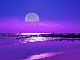 Moonlight Beach Purple Sky Moonlight Photography Beach Night