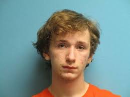 Brooklyn Teen Charged As Felon For Killing Cat