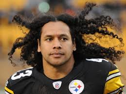 Troy Polamalu Leads List of 2020 Pro Football Hall of Fame Finalists