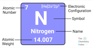 نتیجه جستجوی لغت [nitrogen] در گوگل