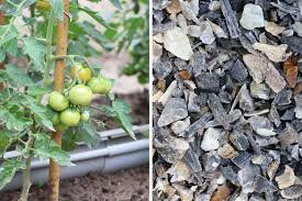 Für welche pflanzen sich kaffee als dünger besonders gut eignet, haben wir in diesem artikel für sie zusammengefasst. Naturliche Dunger Fur Tomaten 10 Hausmittel Wie Eierschalen Co Tomaten De