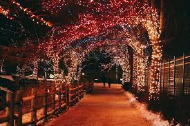 10 Things To Do This Weekend Dec 12 15 Chicago News Wttw