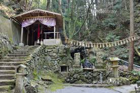 フォトライブラリー