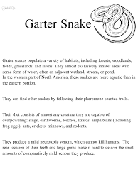 Animal Research Projects Word Work Centers Word Family Worksheets Research Projects