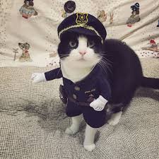 Cute Pet Dog Cat Clothes Funny Puppy Police Officer Halloween Dress Costume New Cat Clothes Pet Halloween Costumes Pet Costumes