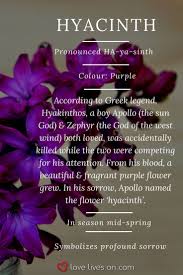 You Are Being Redirected Funeral Flowers Flower Meanings Funeral Flower Arrangements