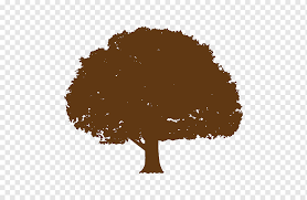 Oak tree clip art tree with roots clipart oak tree clipart black and white. Oak Tree Silhouette Moreton Bay Fig Tree Root Diagram Tree Diagram Willow Broadleaved Tree Plants Tree Moreton Bay Fig Tree Root Png Pngwing