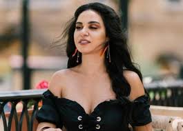 نسرين أمين تتحدث عن دوريها في ولاد رزق وجبل الحريم – منبر العراق الحر