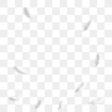 White Feather Cartoon Png Material White Feathers Floating Feathers Flying Feathers Png Transparent Clipart Image And Psd File For Free Download Clip Art Cartoons Png White Feathers