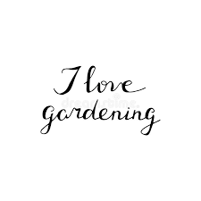 Hand Lettered I Love Gardening Quote Stock Vector Illustration Of Calligraphy Motivational 87802578