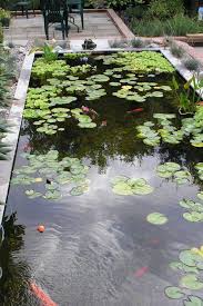 12 Beautiful Koi Pond Plans You Can Create Yourself To Add Beauty To Your Home Koi Pond Designs Design No 13054 Pond Design Koi Pond Design Ponds Backyard