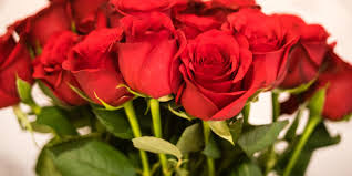 Send the freshest roses designed as a bouquet for your home. Bloom Wild Ban Red Roses For Valentine S Day 2021