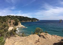 Unie à marées basse avec la segunda et la concha, se trouvant le plus au nord de cette ample étendue de mer entre le cap mineur et la péninsule de la madeleine. Plage De Proximite Avis De Voyageurs Sur Plage De Bonporteau Cavalaire Sur Mer Tripadvisor