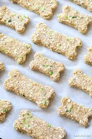 Although zucchini is an excellent source of nutrients, before you give your dog any you should know. Banana Zucchini Bread Homemade Dog Treats Belly Full