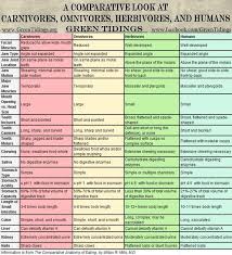 great informative chart carnivores vs omnivores vs