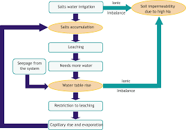 introduction to soil salinity sodicity and diagnostics