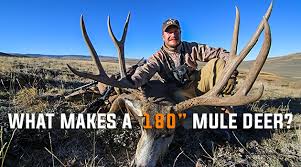 To be counted a point, the projection must be at least one inch long, with the length exceeding width at one inch or more of length. What Makes A 180 Mule Deer Eastmans Official Blog Mule Deer Antelope Elk Hunting And Bowhunting Magazine Eastmans Hunting Journals