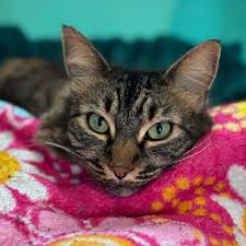 Daisy and Winston (@daisymaeandwinston) • Instagram photos and videos