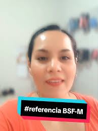 Lili Rocha Como Se Toma Bsf M