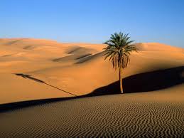 Saudi arabia, arid, sparsely populated kingdom of the middle east, and a young country heir to a rich history. Desert Saudi Arabia Wallpapers Top Free Desert Saudi Arabia Backgrounds Wallpaperaccess