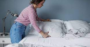 Bees are some of the most important insects out there because they pollinate, allowing food to grow. Can You See Bedbugs Size Identification Removal Prevention