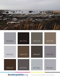 Shore Coast Tundra Color Palette Colors Inspiration Graphics Design Inspiration Beautiful Colorpale Paint Colors For Home Paint Colors Color Inspiration
