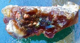 Opal Hill Mine Mule Mountains Ca Desertusa Rockhounding California Rock Hounding Rock Hunting