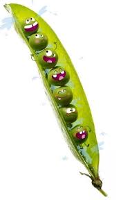 Having Fun Vegetable Illustration Vegetable Cartoon Whimsical Art