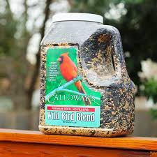 All About Bird Seed